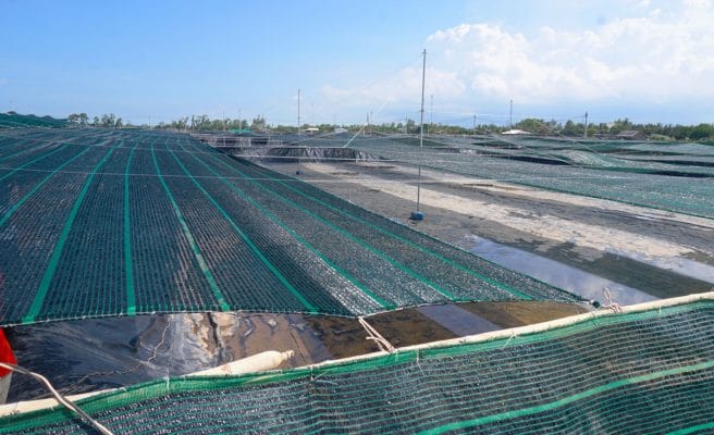 Lưới lan che nắng khu vực nuôi trồng thủy sản