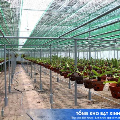 Không cần đóng khuy biên tốn chi phí