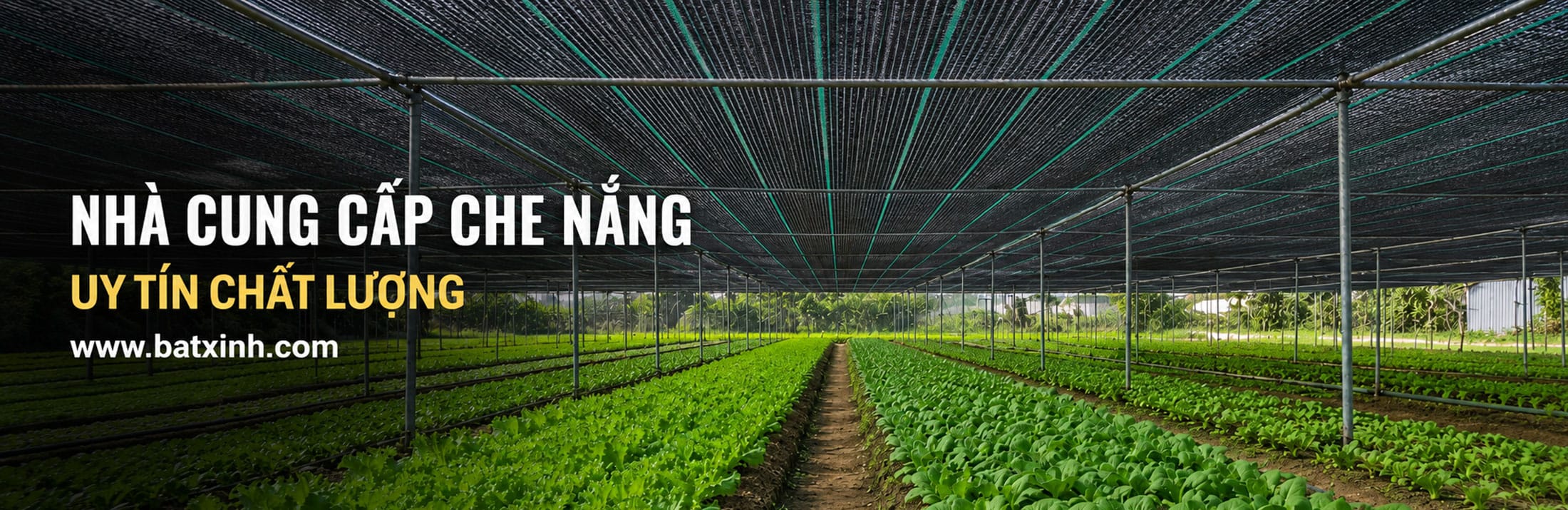 Lưới che nắng cho vườn rau