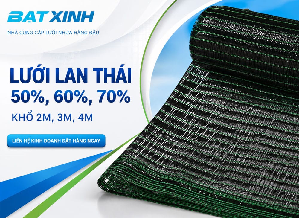 lưới lan