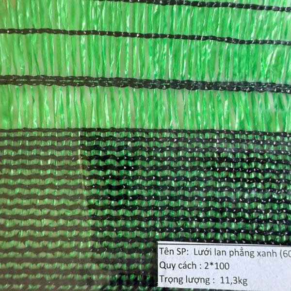 Lưới Lan Phẳng Xanh 60g Bạt Xinh | Giá Xưởng