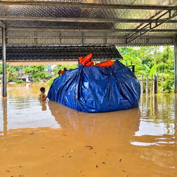 bạt chống ngập ô tô